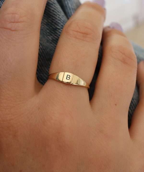 signet ring / 14K Gold